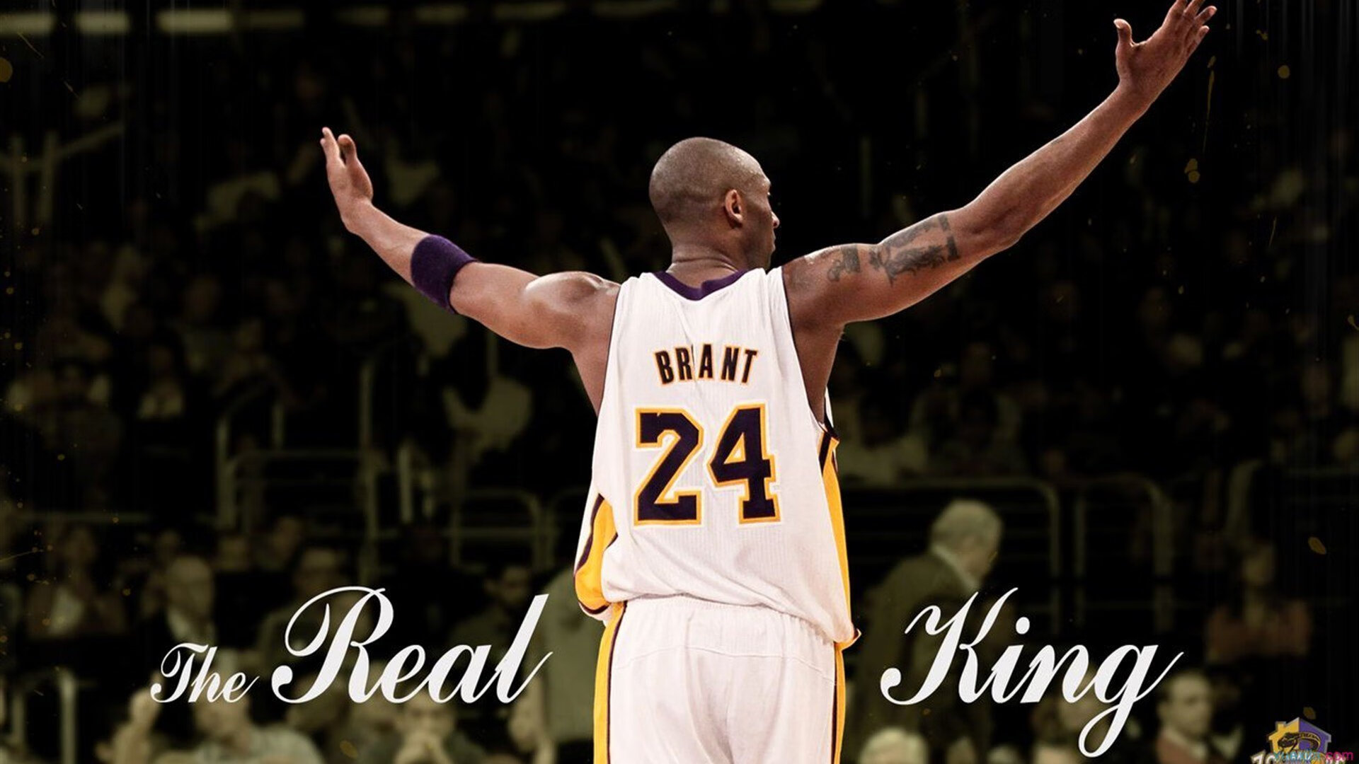 伊布主宰比赛走向,葡萄牙决胜局带走尼斯