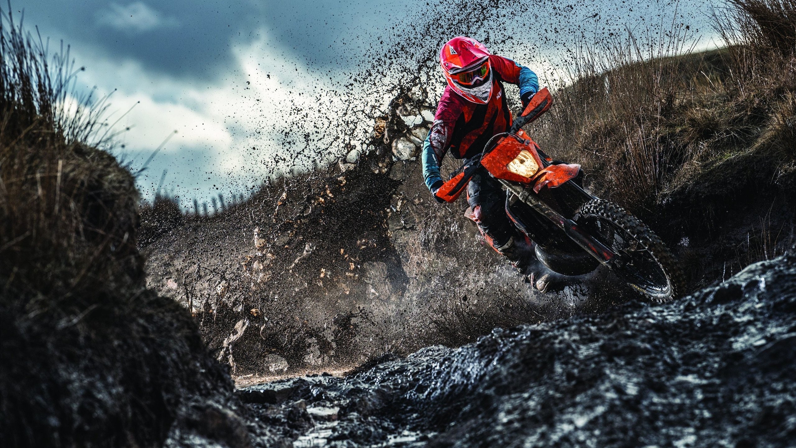 开云APP-西决生死战之夜，当爱德华兹撕碎所有防守剧本